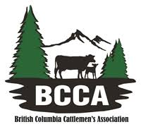 BC Cattlemens