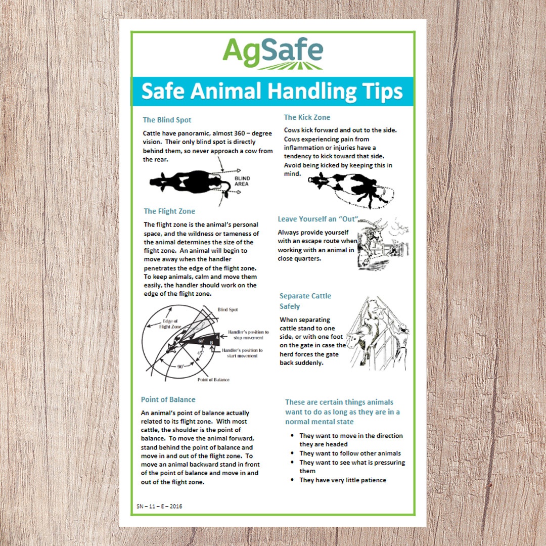 Safe Animal Handling